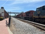 CP 8813